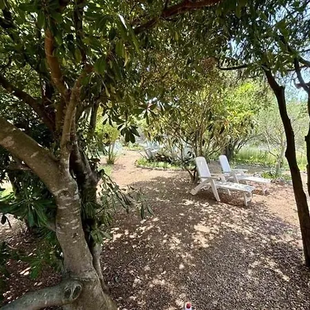 By The Sea Barbat, Rab - 22423 Apartment Rab Town